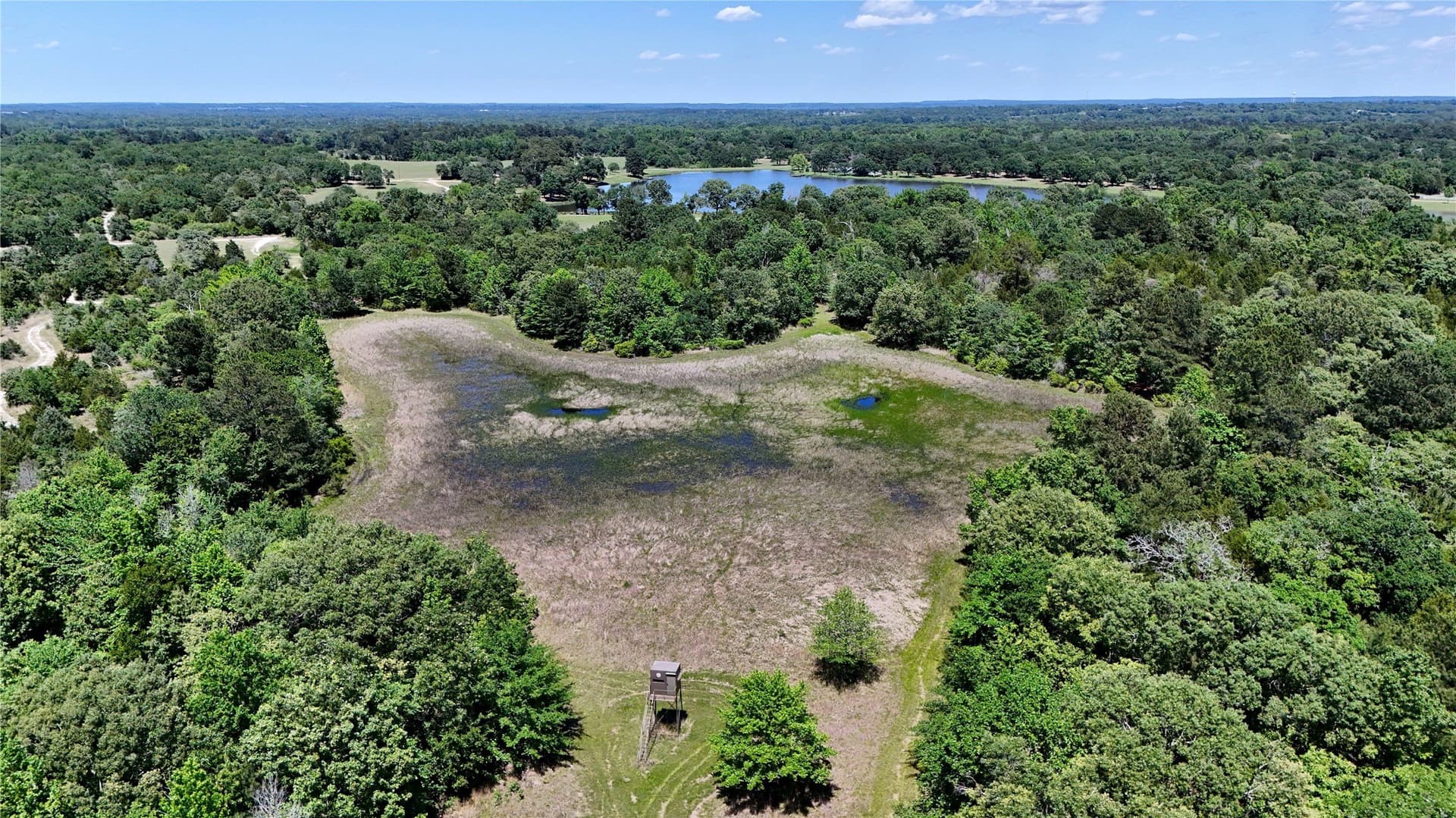 245.59 acres in Henderson County - photo 37