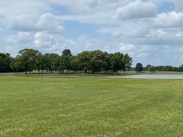 245.59 acres in Henderson County gallery image 4