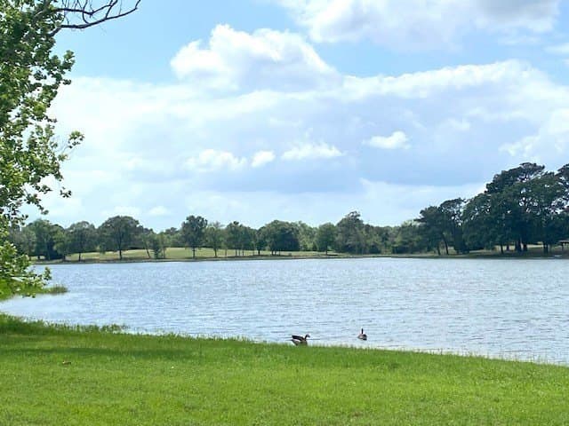 245.59 acres in Henderson County - photo 7