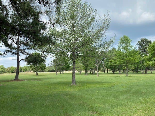 245.59 acres in Henderson County - photo 23