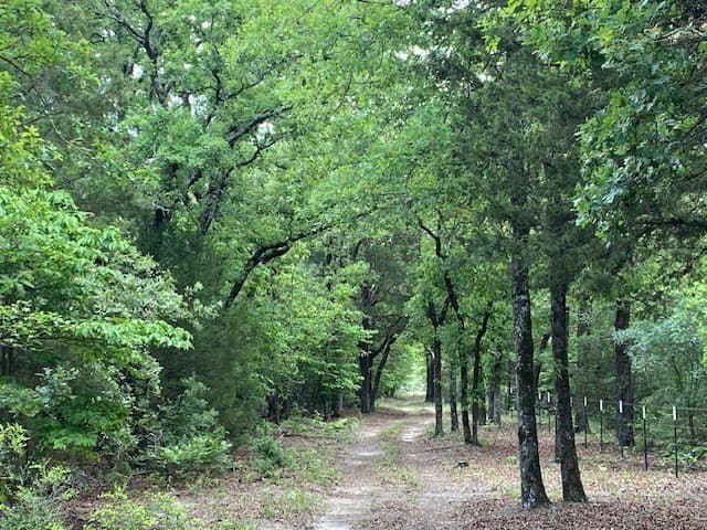 245.59 acres in Henderson County - photo 31