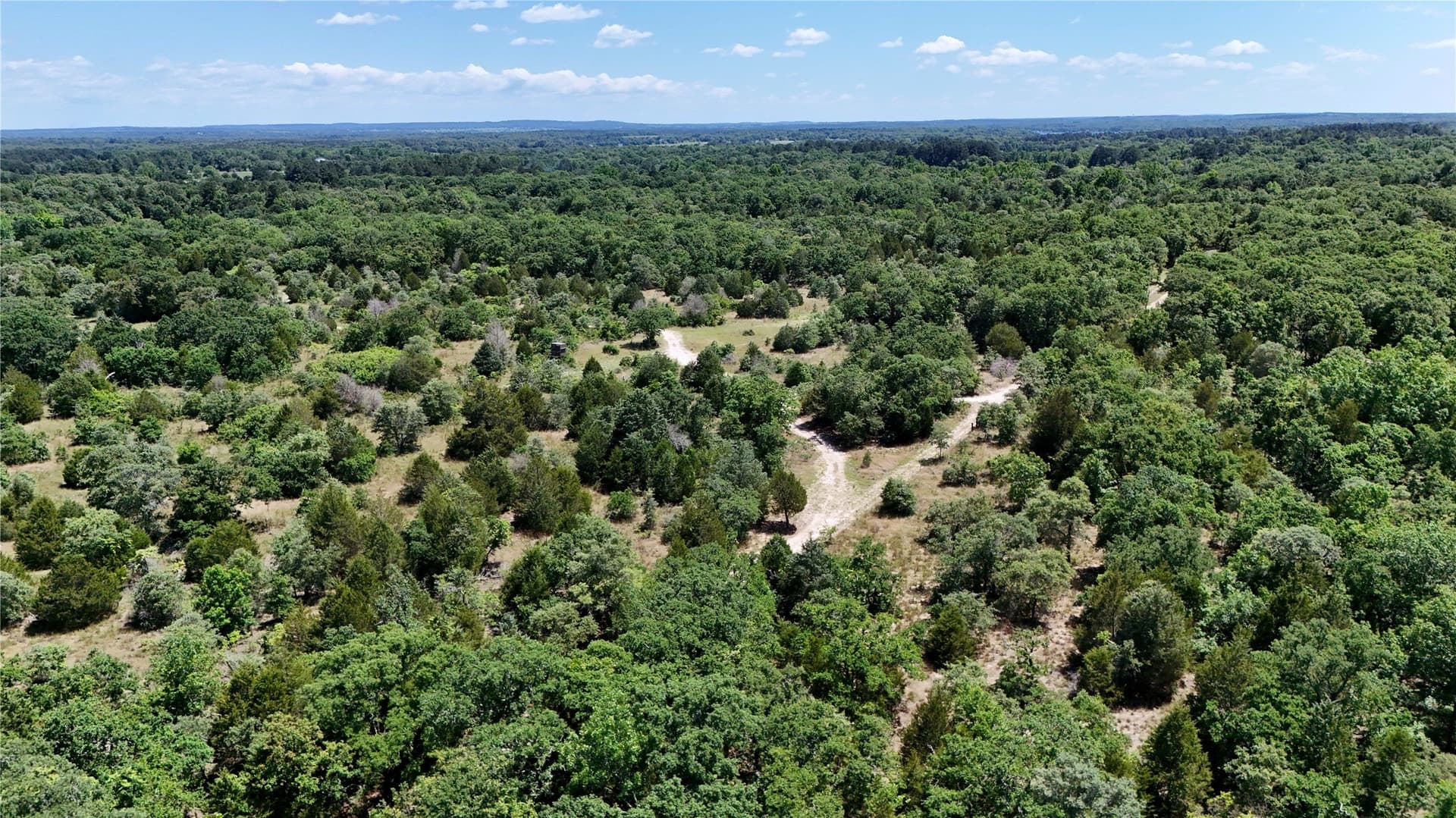 245.59 acres in Henderson County - photo 36