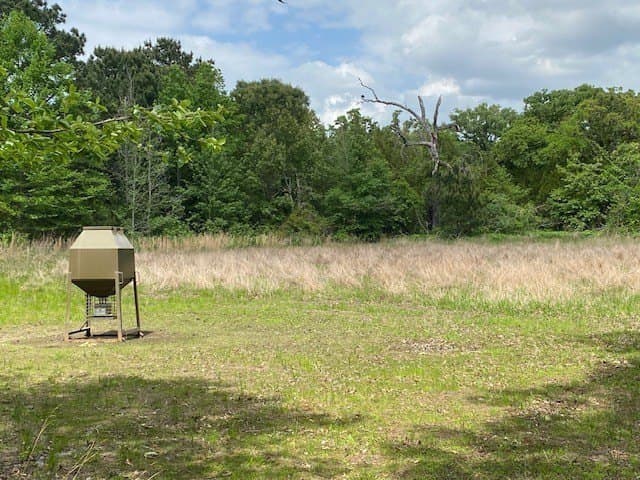 245.59 acres in Henderson County - photo 25