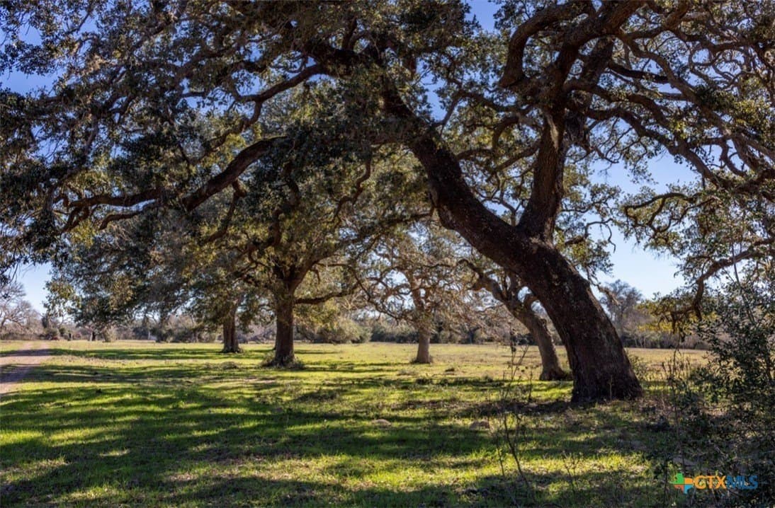 113.06 acres in Jackson County - photo 2