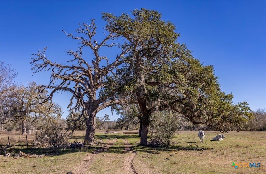 113.06 acres in Jackson County - photo 8