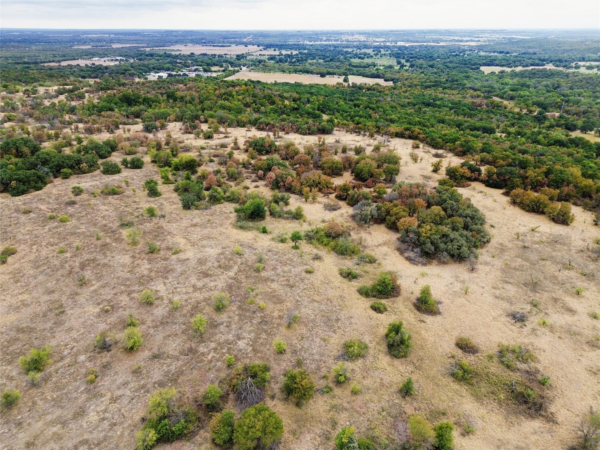 176.57 acres in Wise County - photo 7