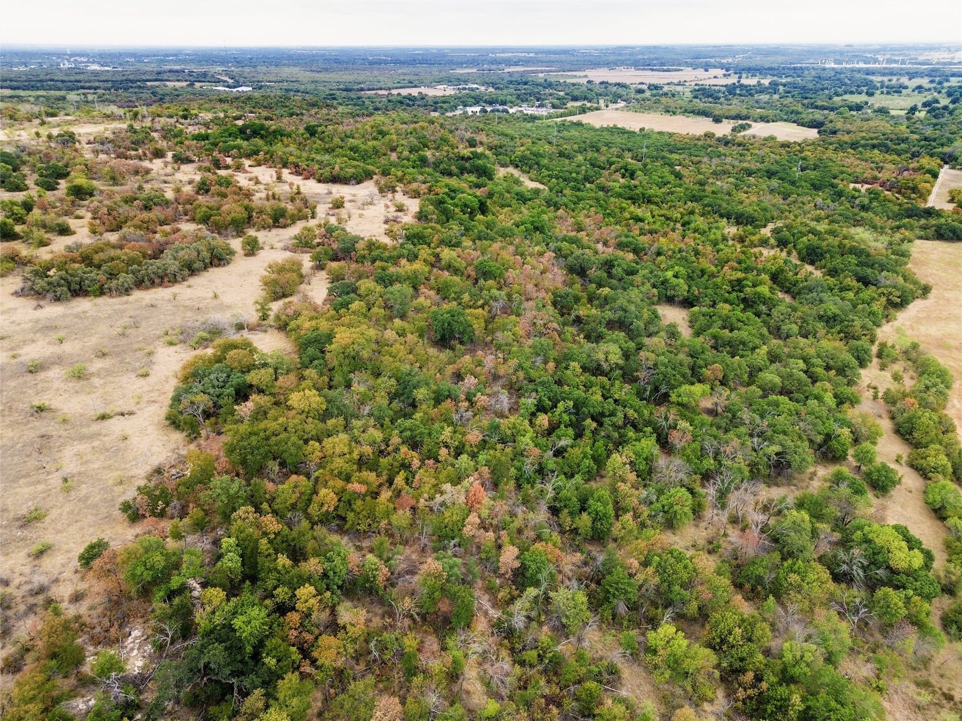 176.57 acres in Wise County - photo 3