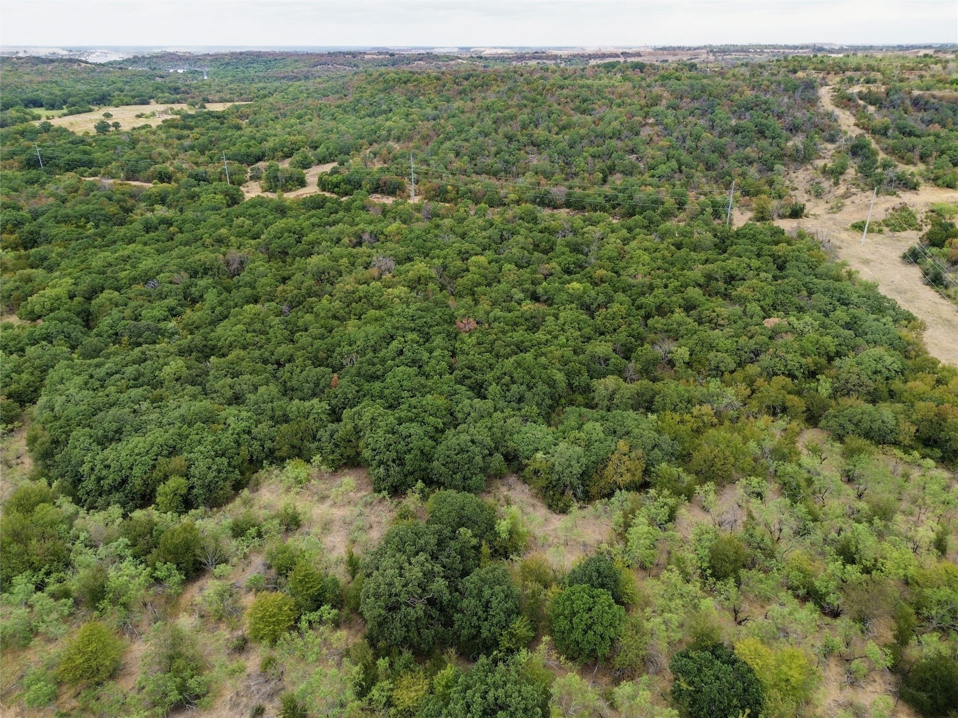 176.57 acres in Wise County - photo 2