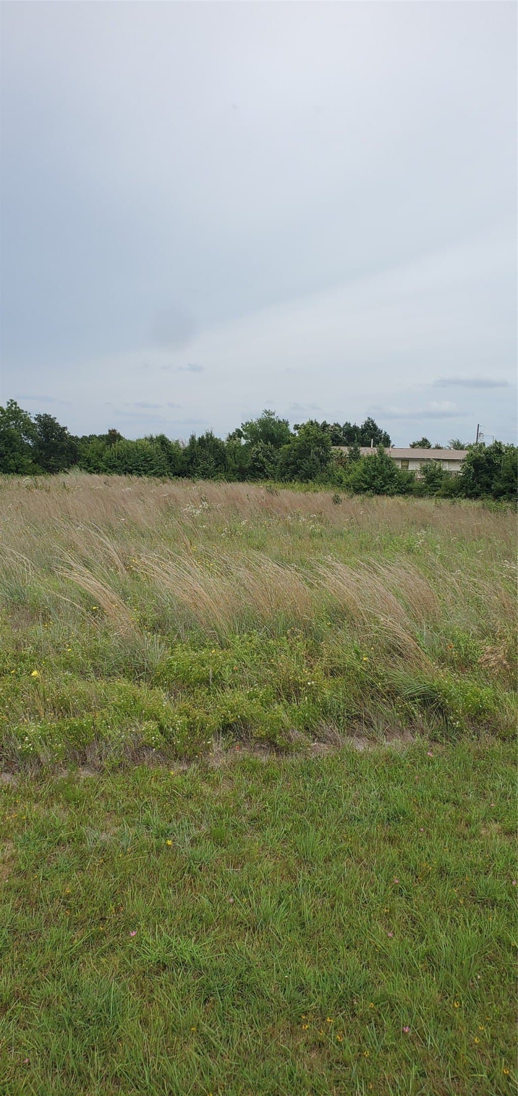 1.5 acres in Callahan County - photo 6