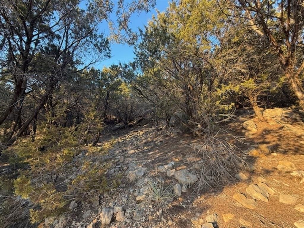 2.01 acres in Palo Pinto County gallery image 3