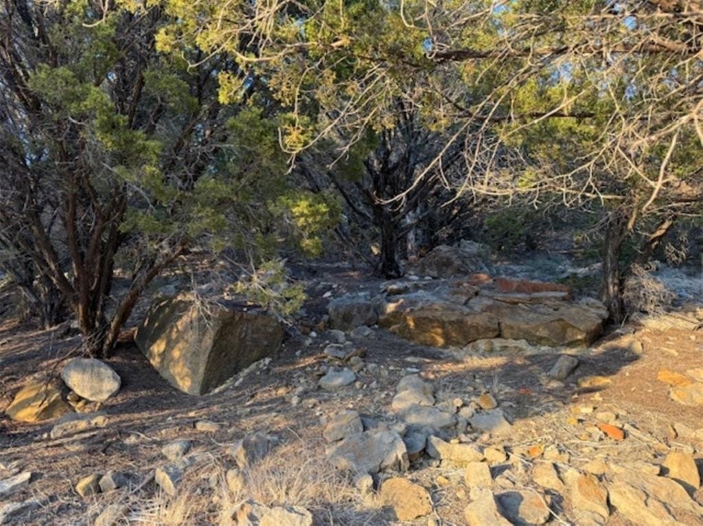 2.01 acres in Palo Pinto County gallery image 4