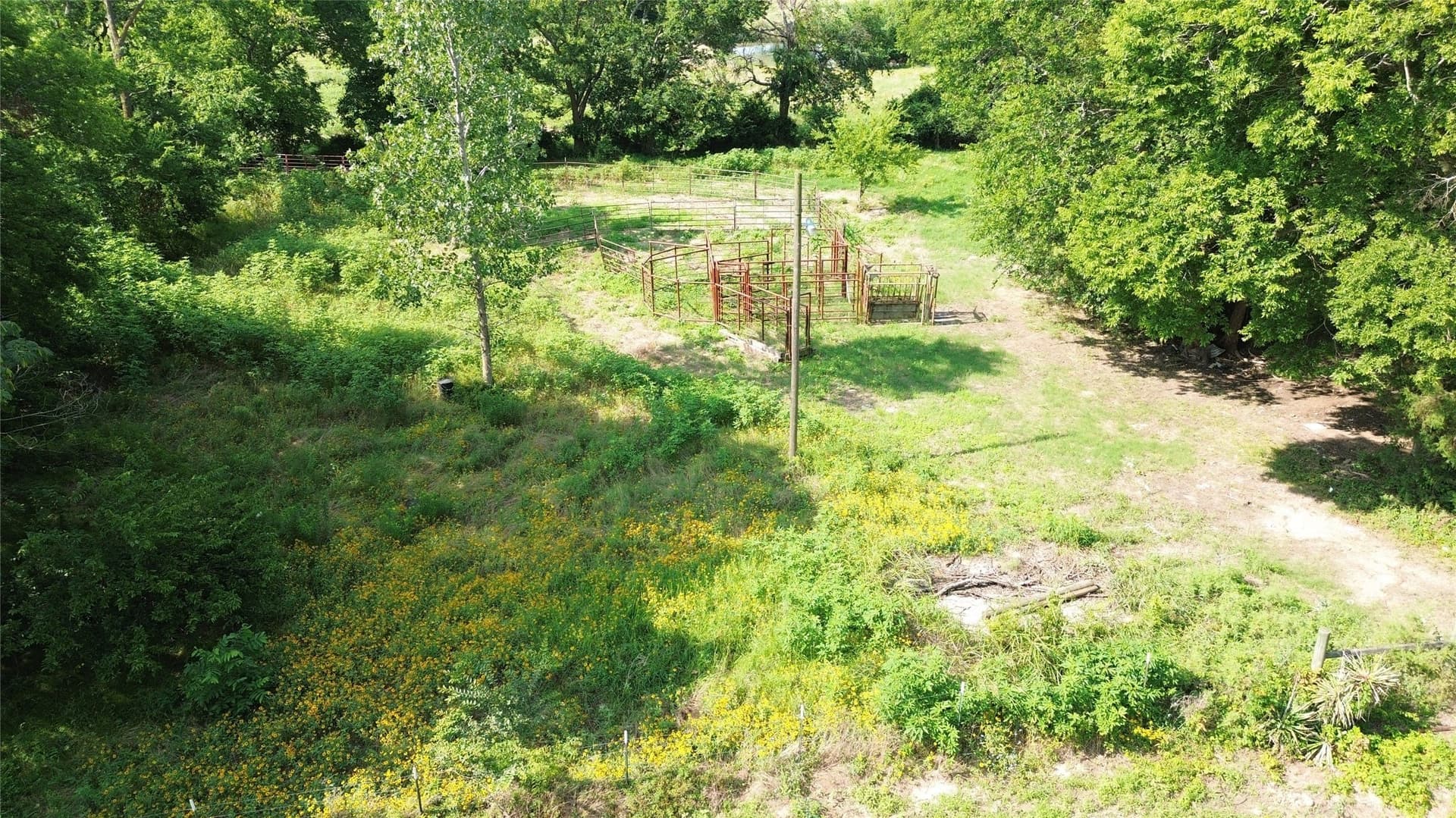 19.88 acres in Delta County - photo 6