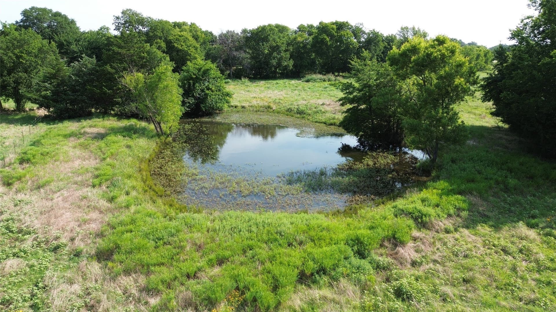 19.88 acres in Delta County - photo 7