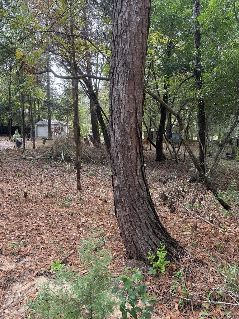 0.56 acres in Texas County