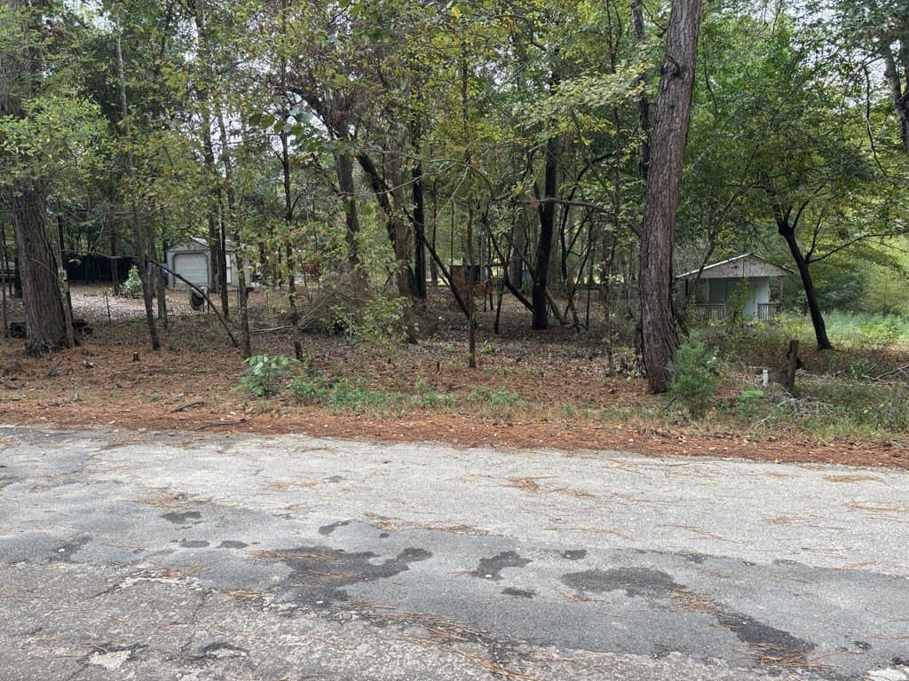 0.56 acres in Texas County - photo 2