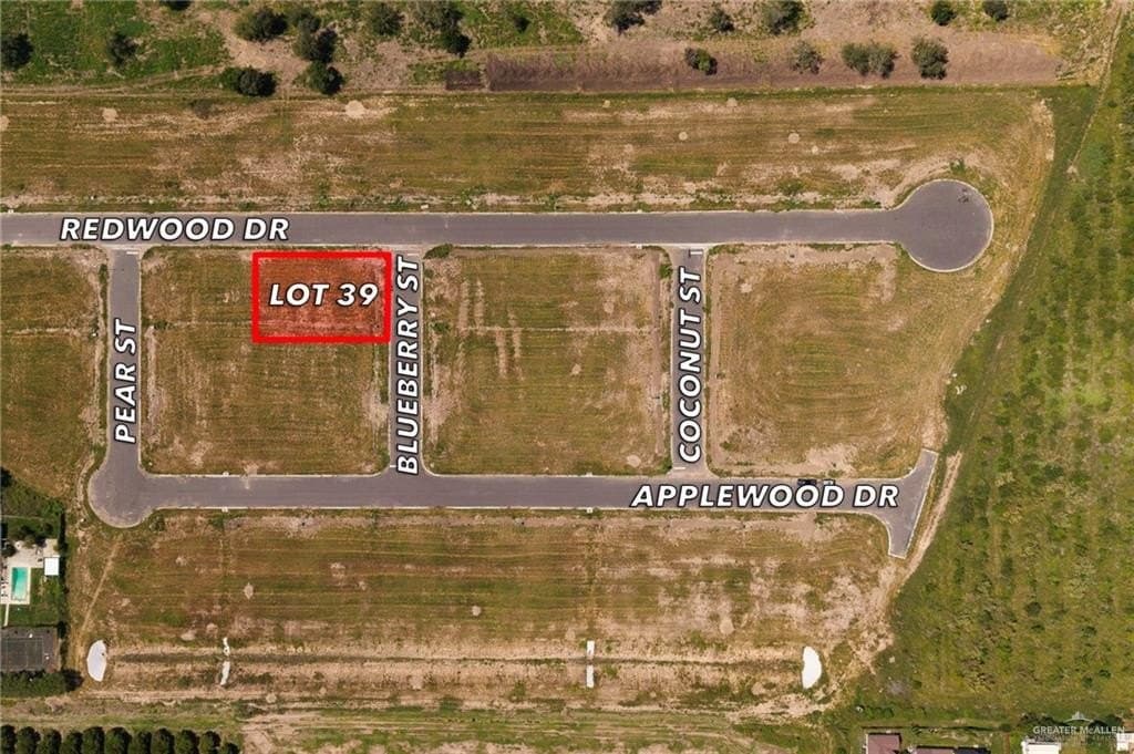 0.24 acres in Hidalgo County gallery image 2