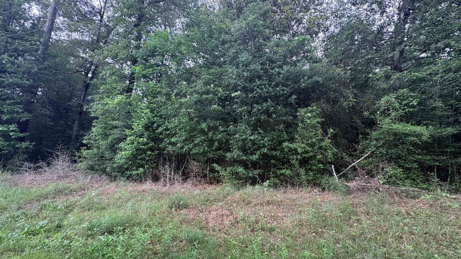 0.44 acres in Tyler County gallery image 4