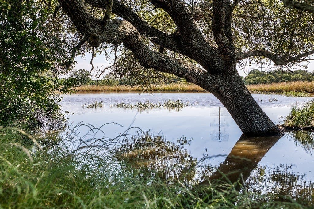 78.84 acres in Washington County