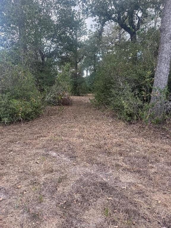 0.33 acres in Burleson County - photo 7