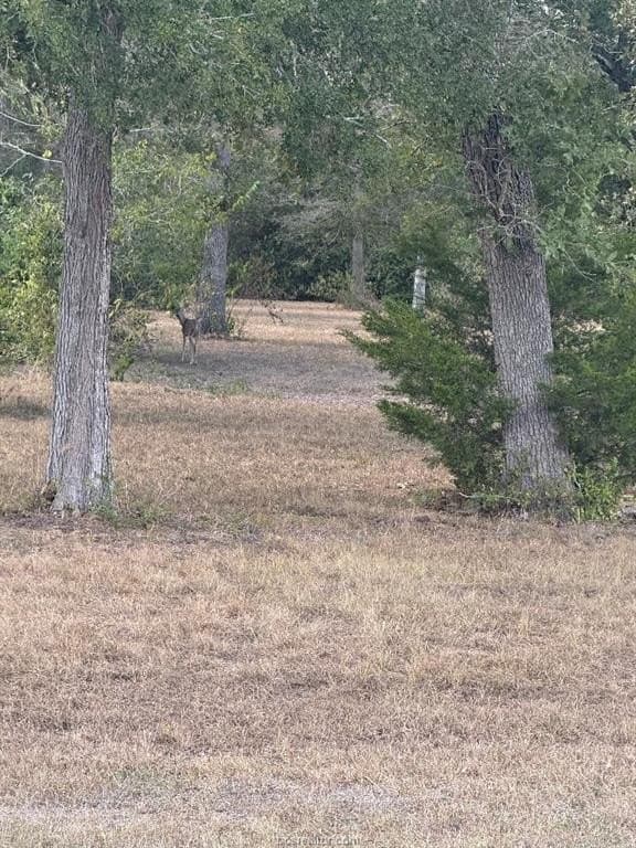 0.33 acres in Burleson County