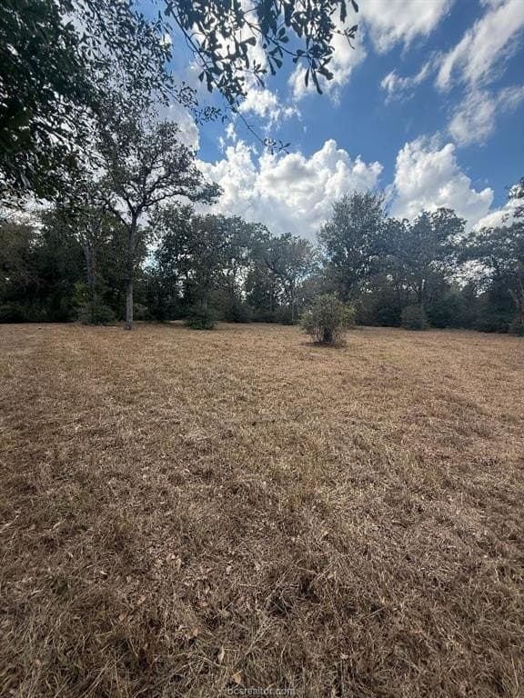 0.33 acres in Burleson County - photo 3