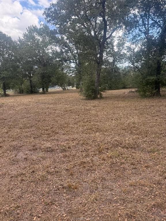 0.33 acres in Burleson County - photo 4