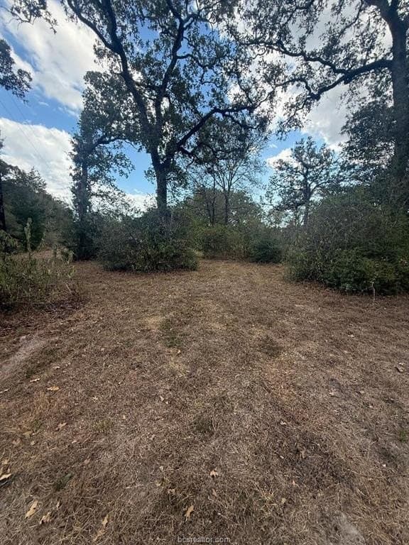 0.33 acres in Burleson County - photo 5