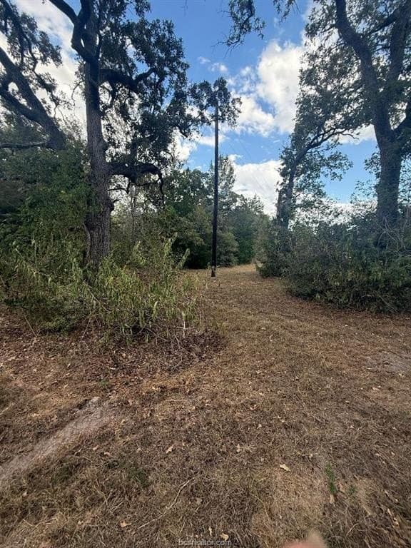 0.33 acres in Burleson County - photo 6