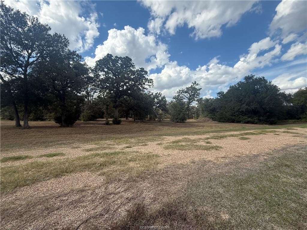0.33 acres in Burleson County - photo 2