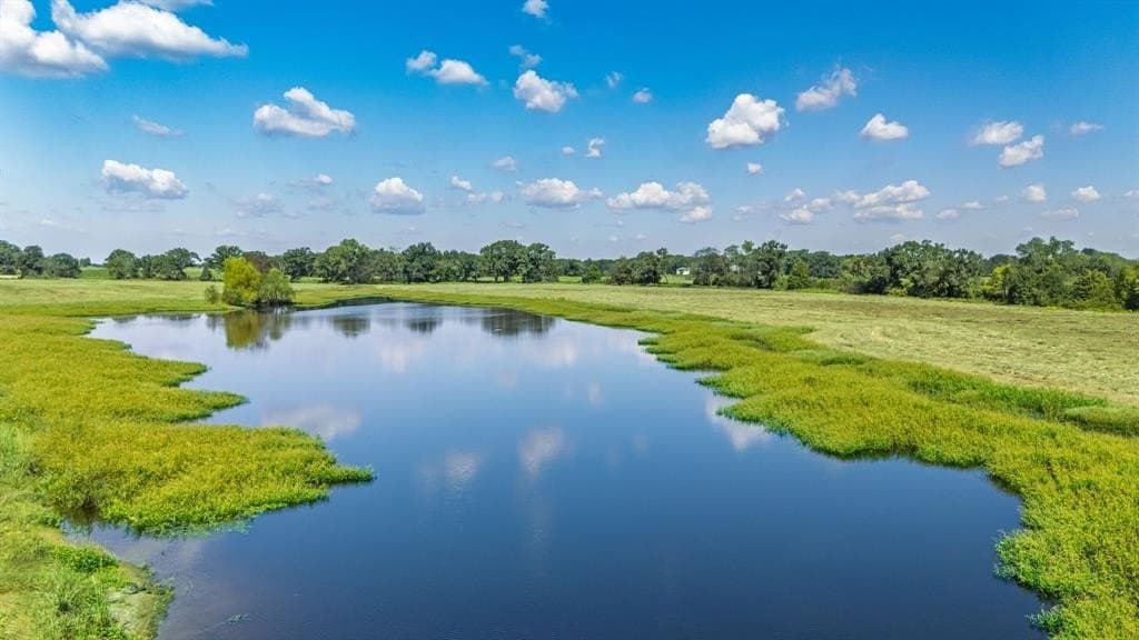 31.69 acres in Hopkins County gallery image 4