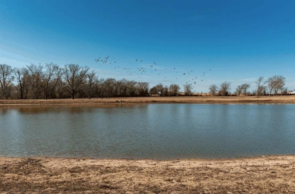 31.69 acres in Hopkins County gallery image 2