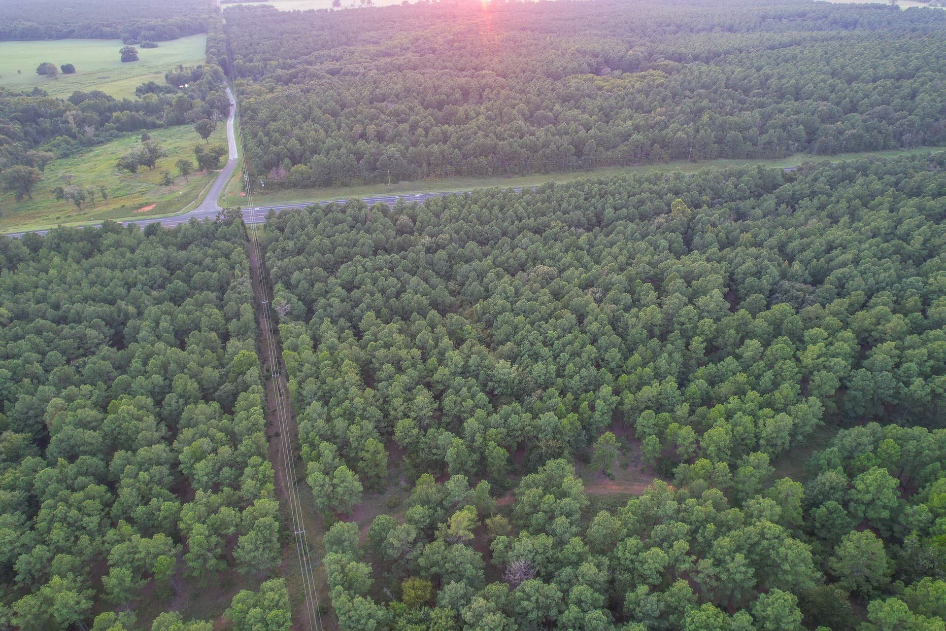 33 acres in Henderson County - photo 2