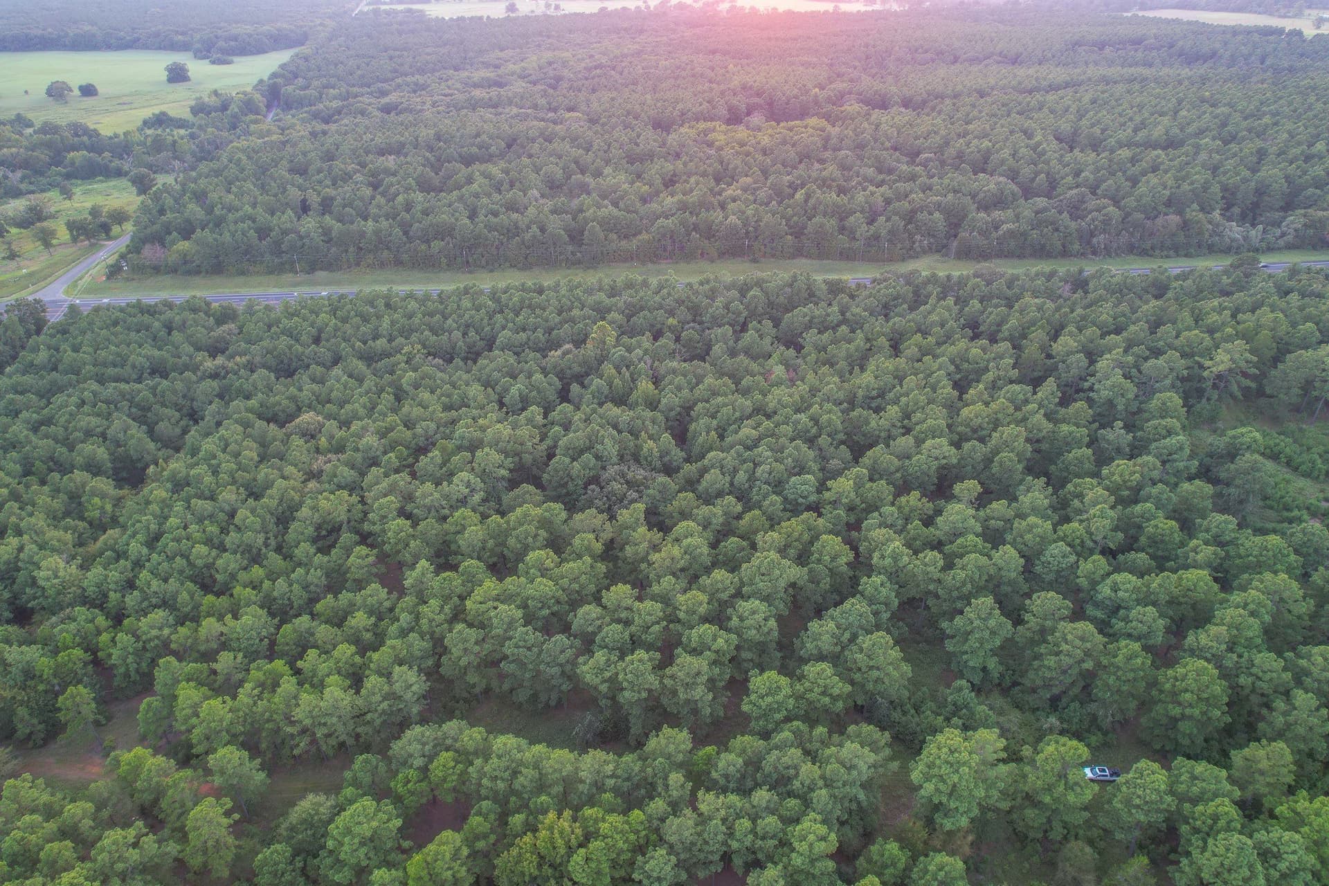 33 acres in Henderson County - photo 6
