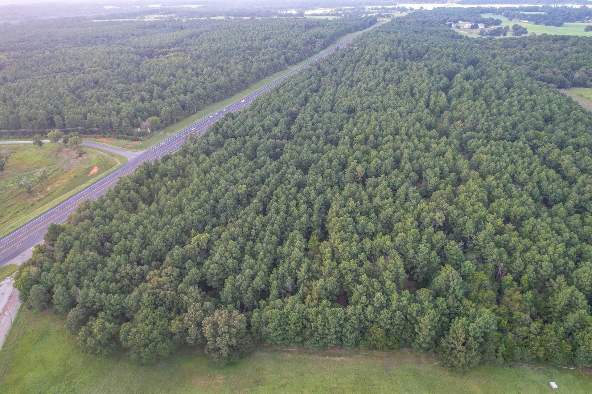 33 acres in Henderson County - photo 3