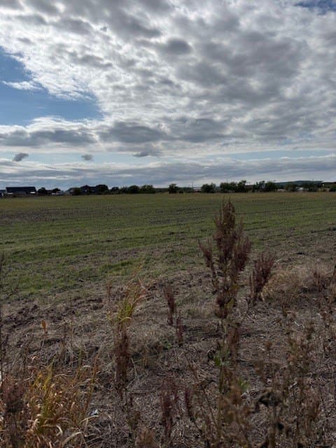 17.56 acres in Taylor County gallery image 2
