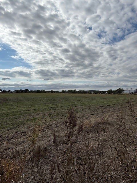 17.56 acres in Taylor County gallery image 4