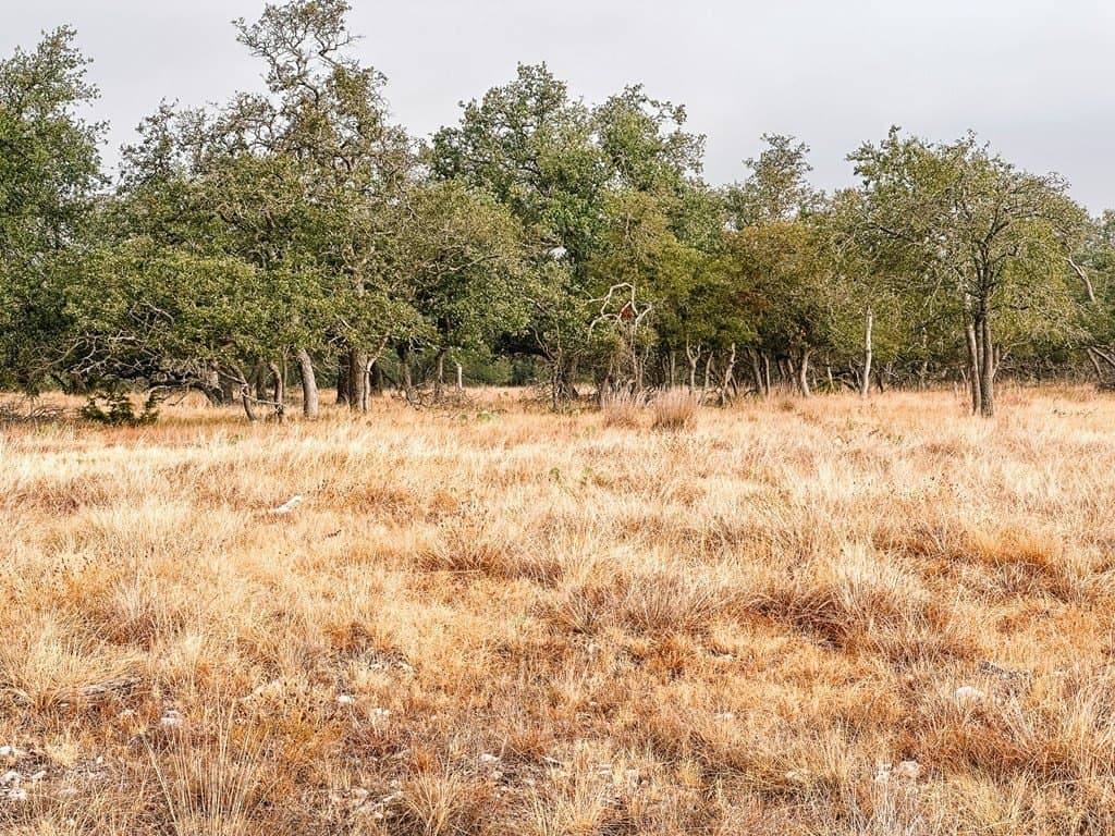 4.3 acres in Gillespie County gallery image 4