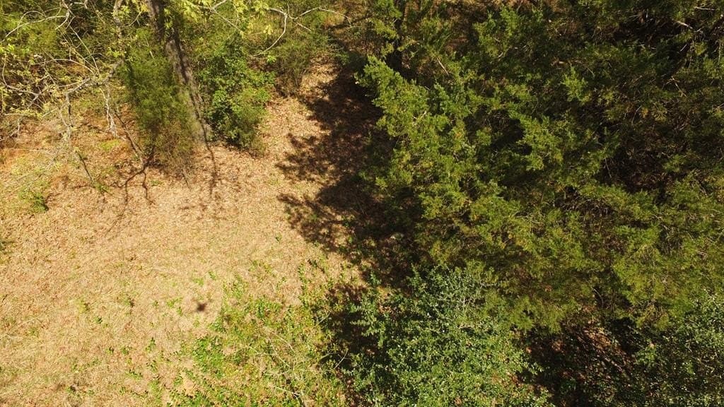 0.37 acres in Henderson County - photo 17