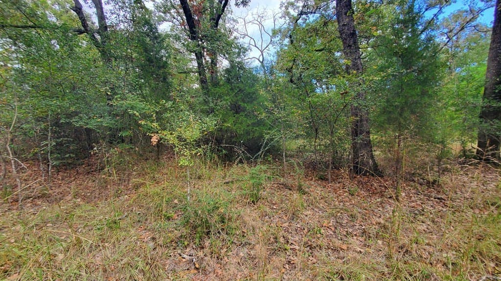 0.37 acres in Henderson County - photo 12