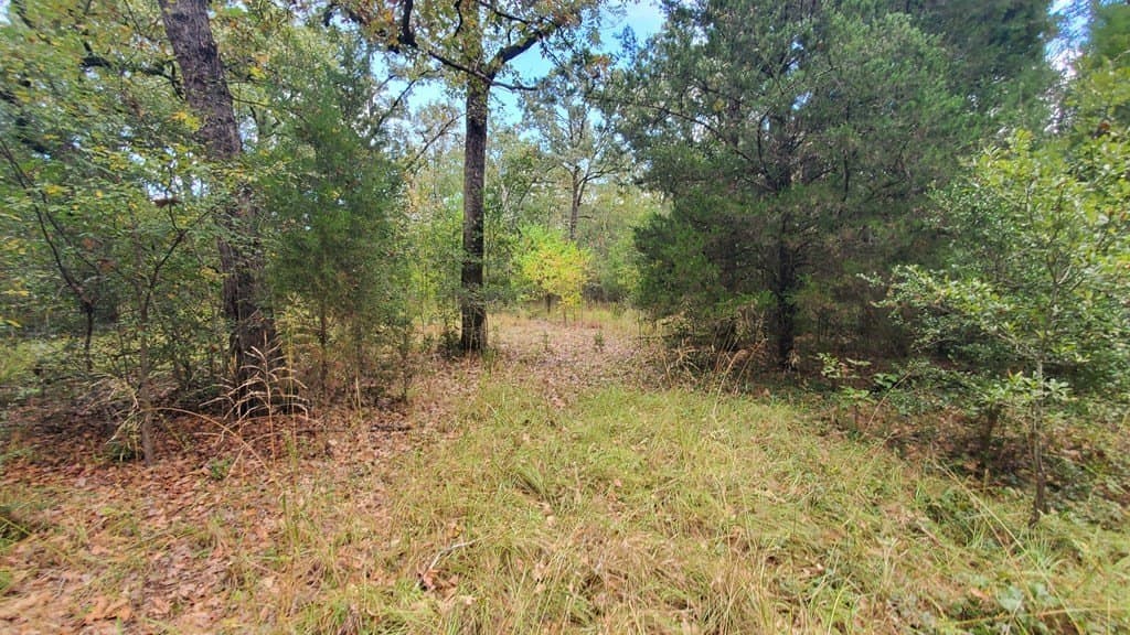 0.37 acres in Henderson County - photo 9