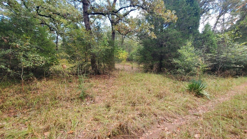 0.37 acres in Henderson County - photo 6