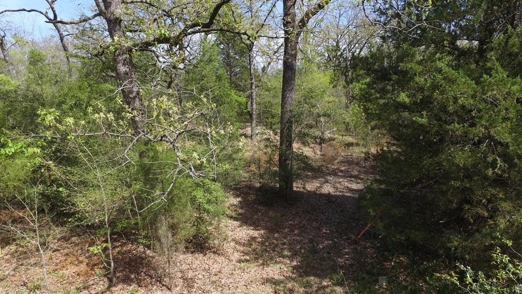 0.37 acres in Henderson County - photo 13