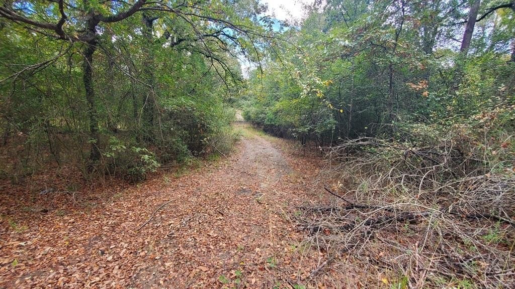 0.37 acres in Henderson County gallery image 4