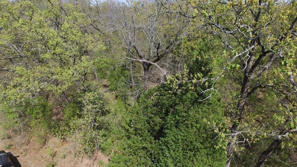 0.37 acres in Henderson County - photo 18