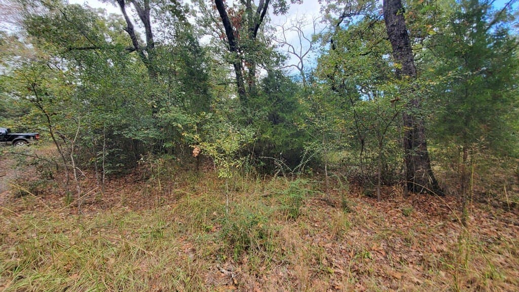 0.37 acres in Henderson County - photo 11