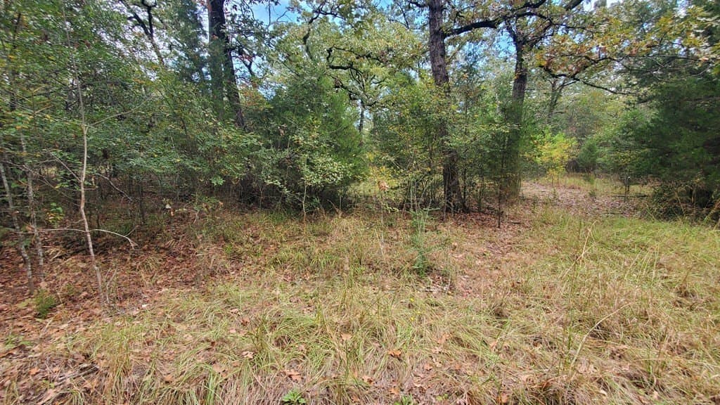 0.37 acres in Henderson County - photo 7