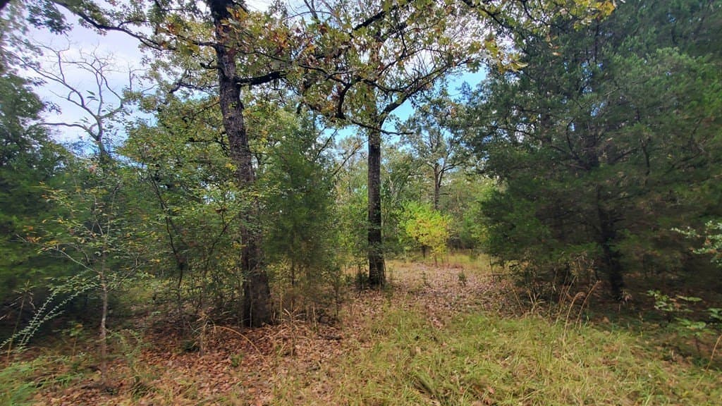 0.37 acres in Henderson County - photo 10
