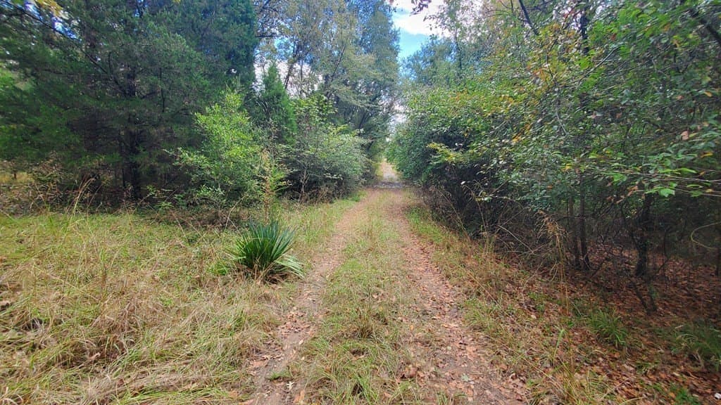 0.37 acres in Henderson County - photo 8