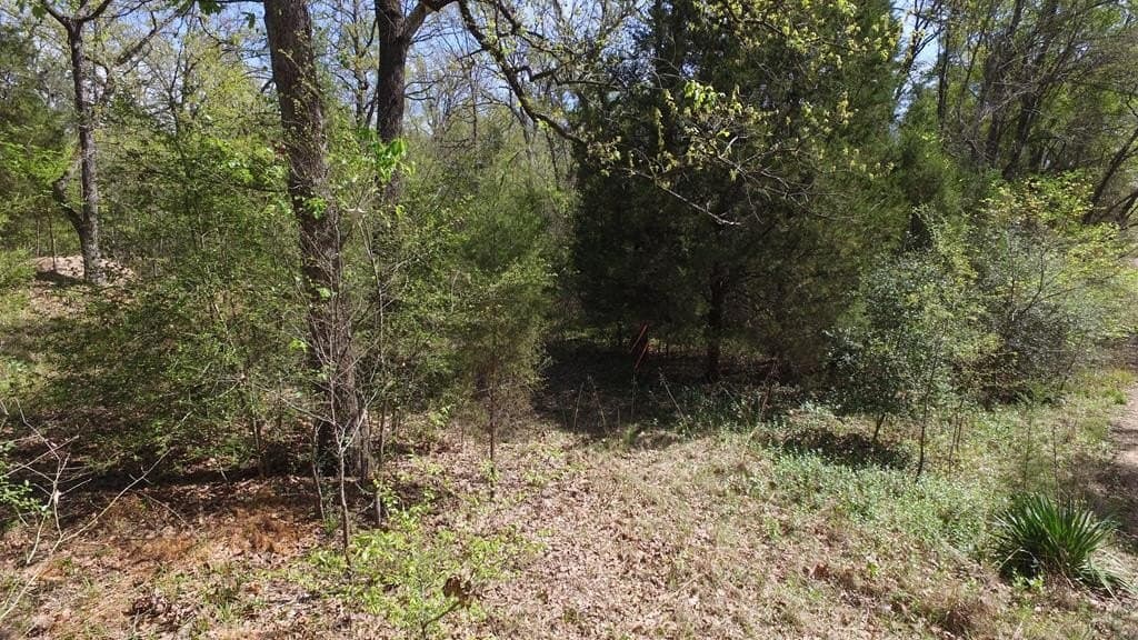 0.37 acres in Henderson County - photo 16