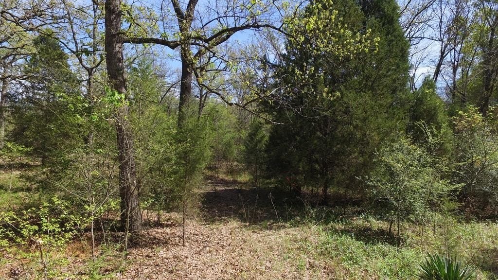 0.37 acres in Henderson County - photo 14
